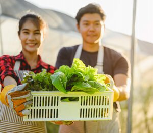 Servicios de Preparación y Comida Lista